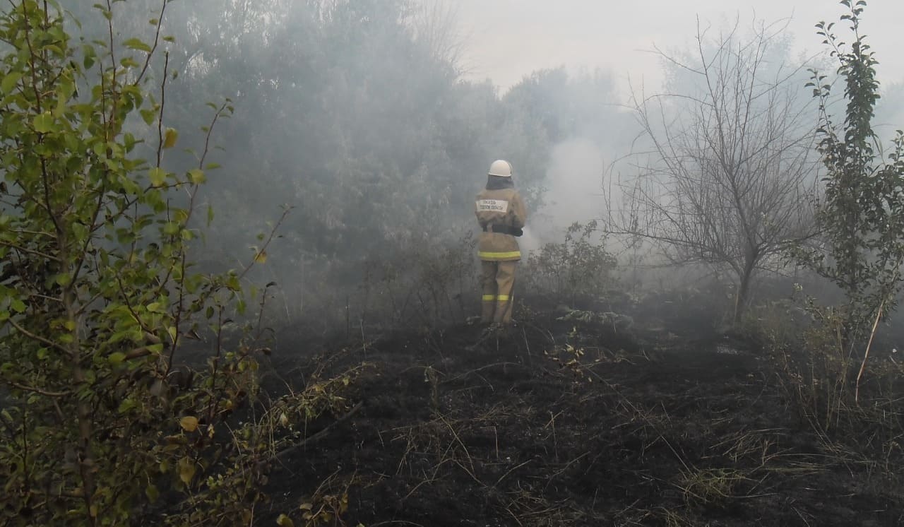 Донские спасатели вручную погасили пожар у хутора Мержаново