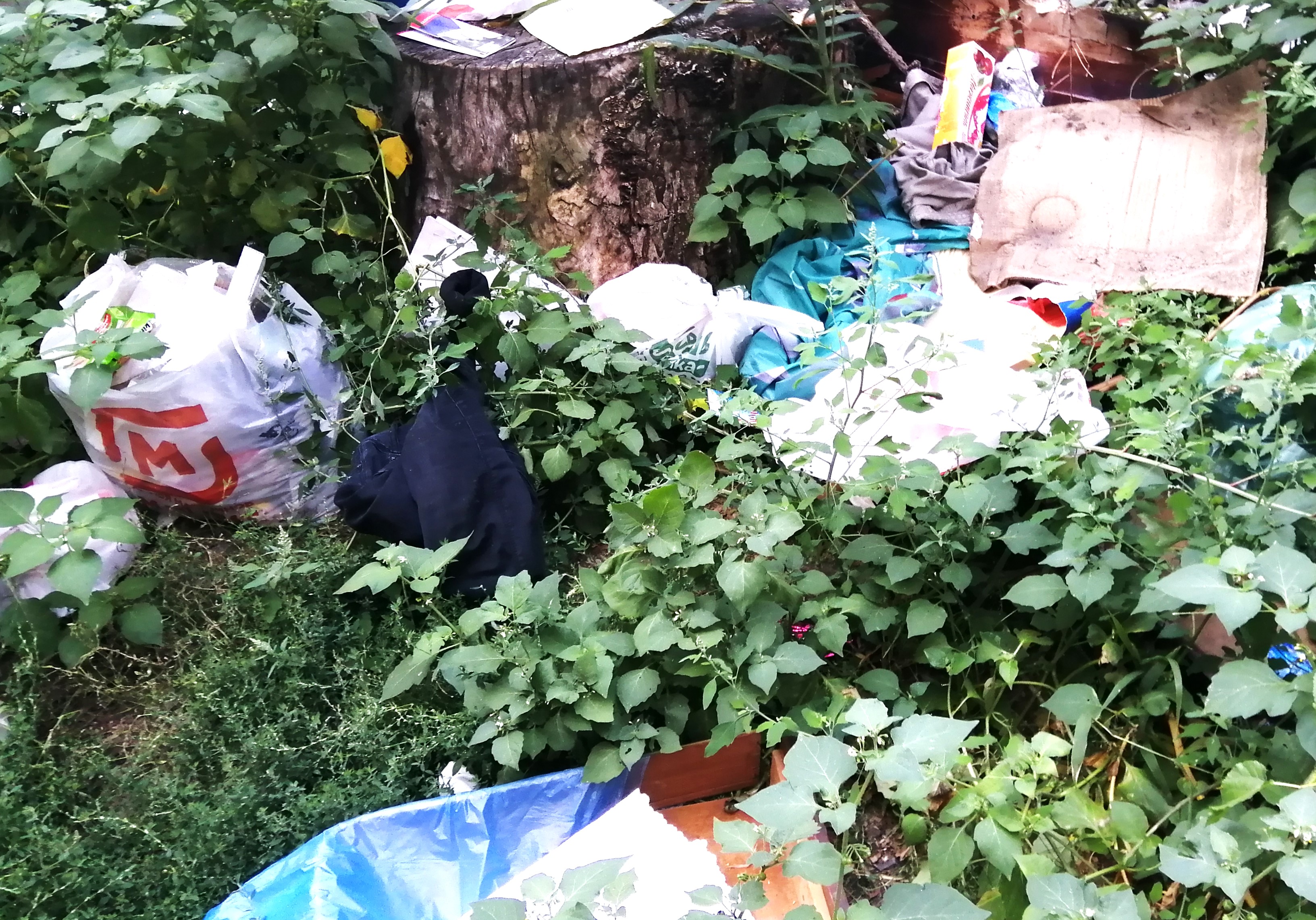 Море мусора перехлёстывает через берега закона... - Новости, 14.07.2026