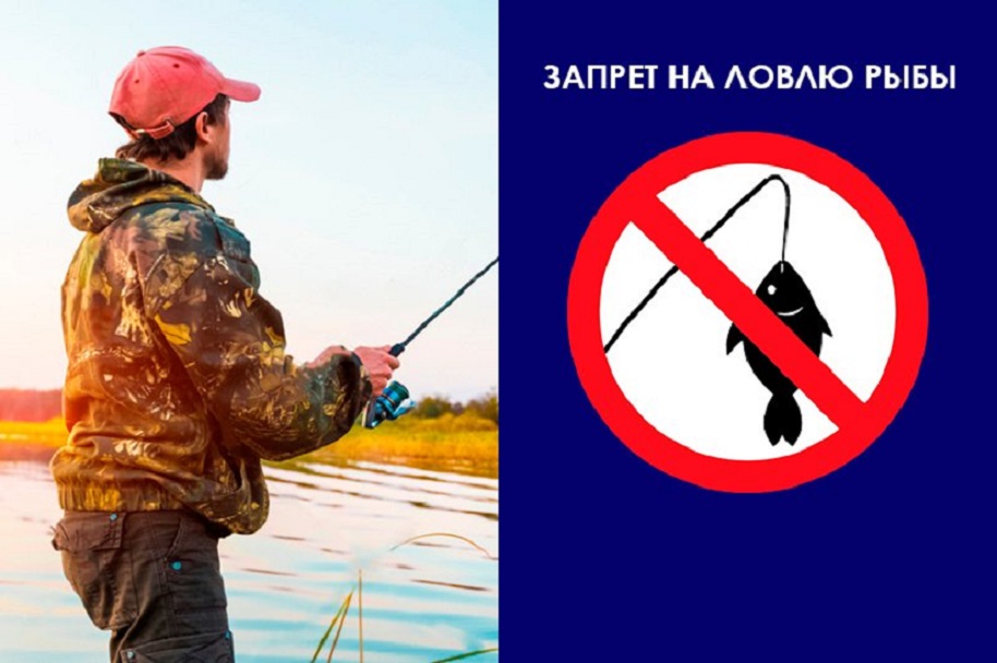 С 1 апреля в Ростовской области вводится запрет на лов рыбы