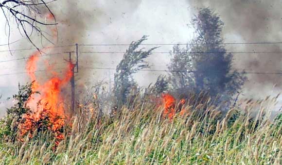 В ДПЧС Ростовской области напомнили, что выходные и праздники — самые пожароопасные дни