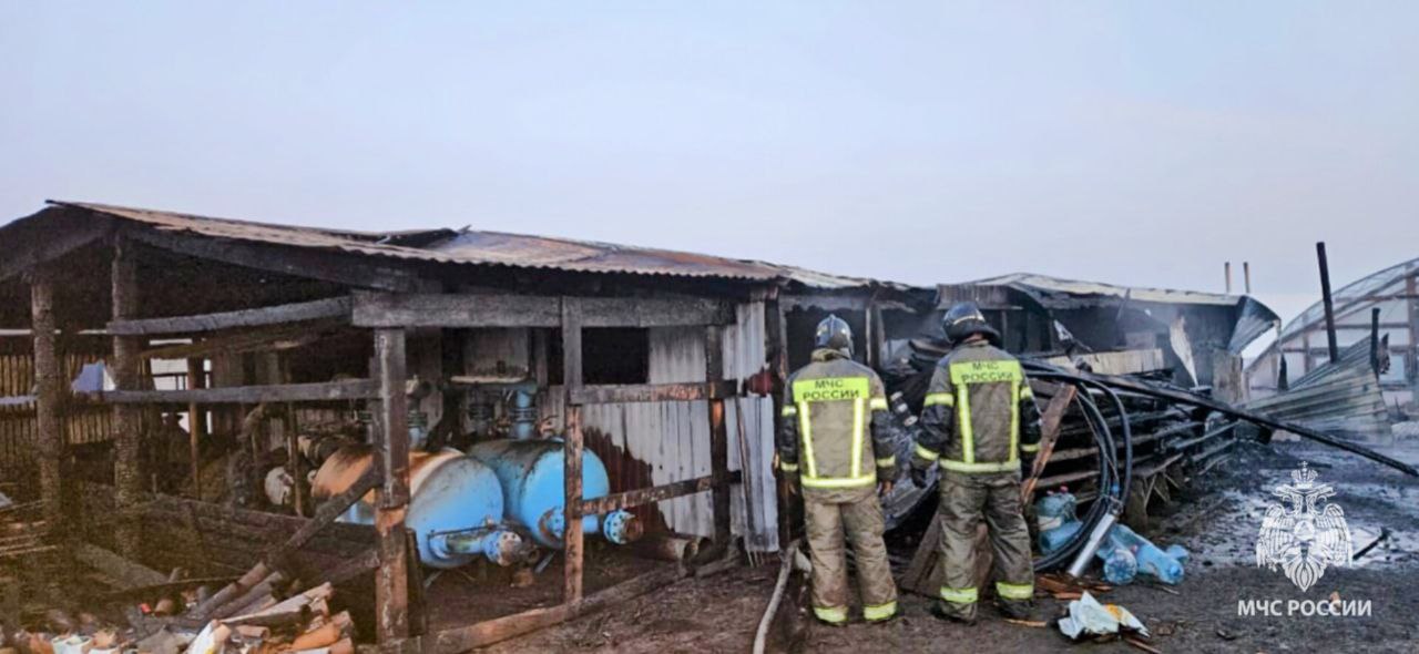 В Семикаракорском районе на пожаре погибли два человека