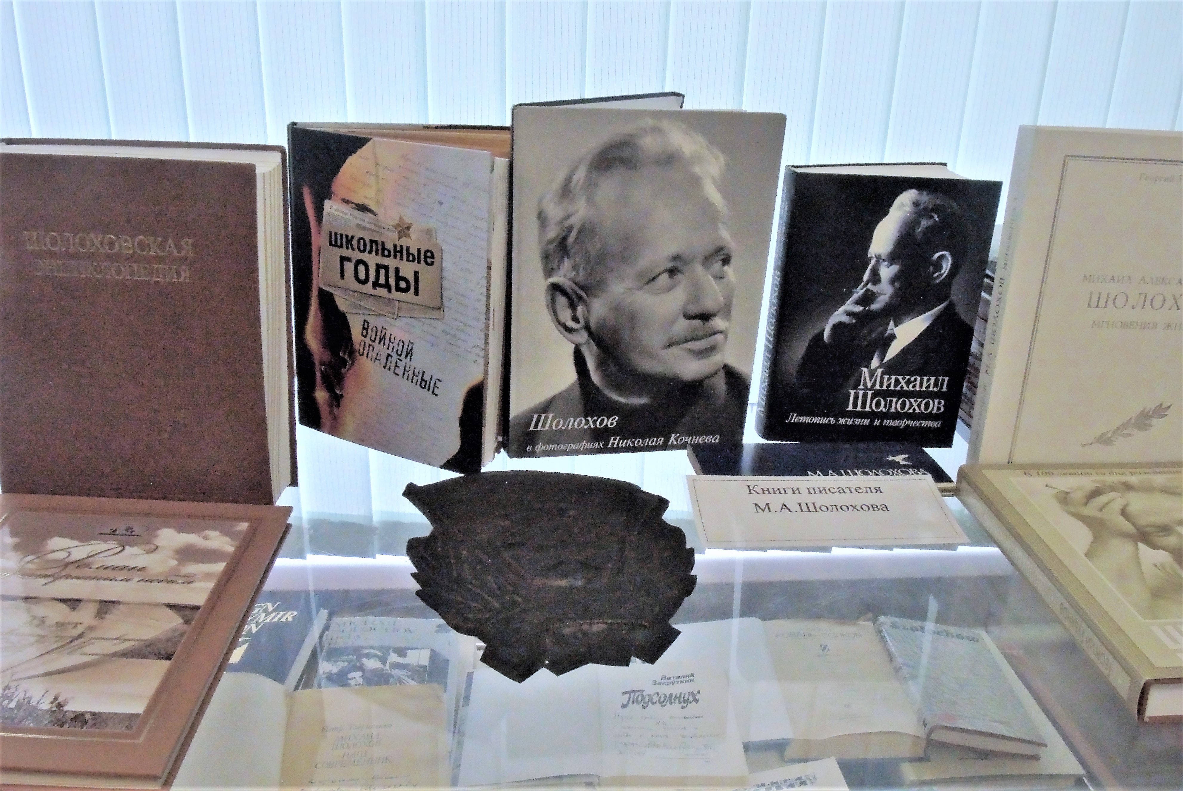 «Век Тихого Дона»: продолжение следует… - Новости, 12.11.2025