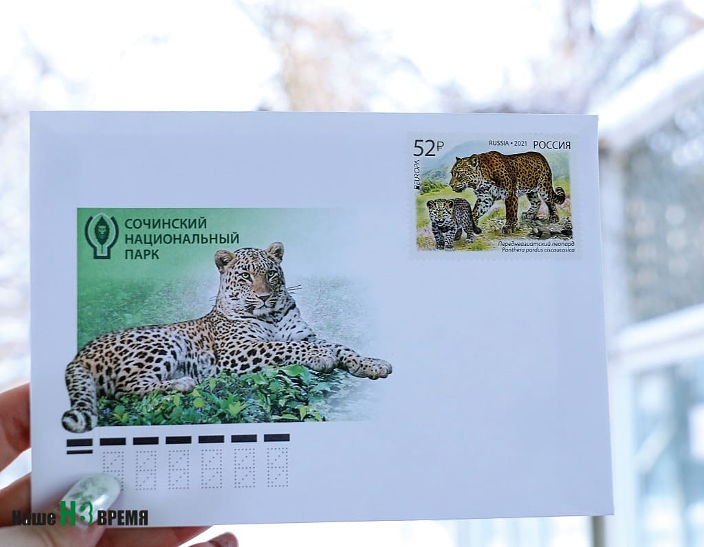 В Ростове прошло торжественное гашение марки с переднеазиатским леопардом