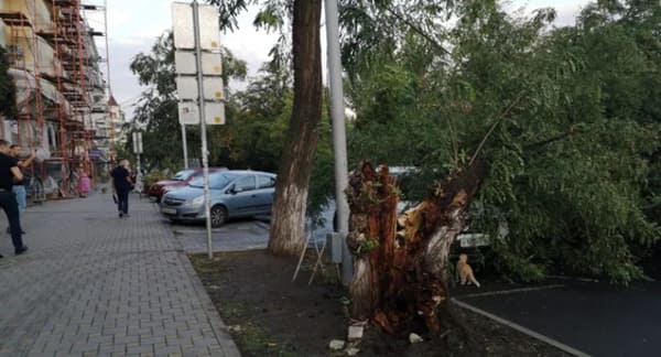 В Ростове ожидают усиление ветра до 18 м/с