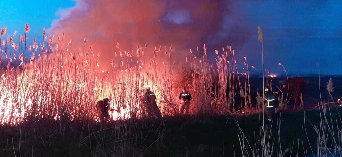 Ландшафтный пожар в Азовском районе тушили почти три часа