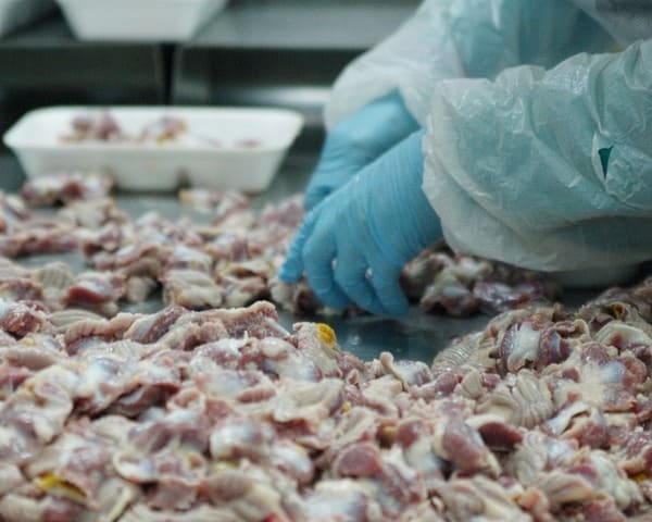 В Донецке не выпустили за границу 18 тонн куриного мяса