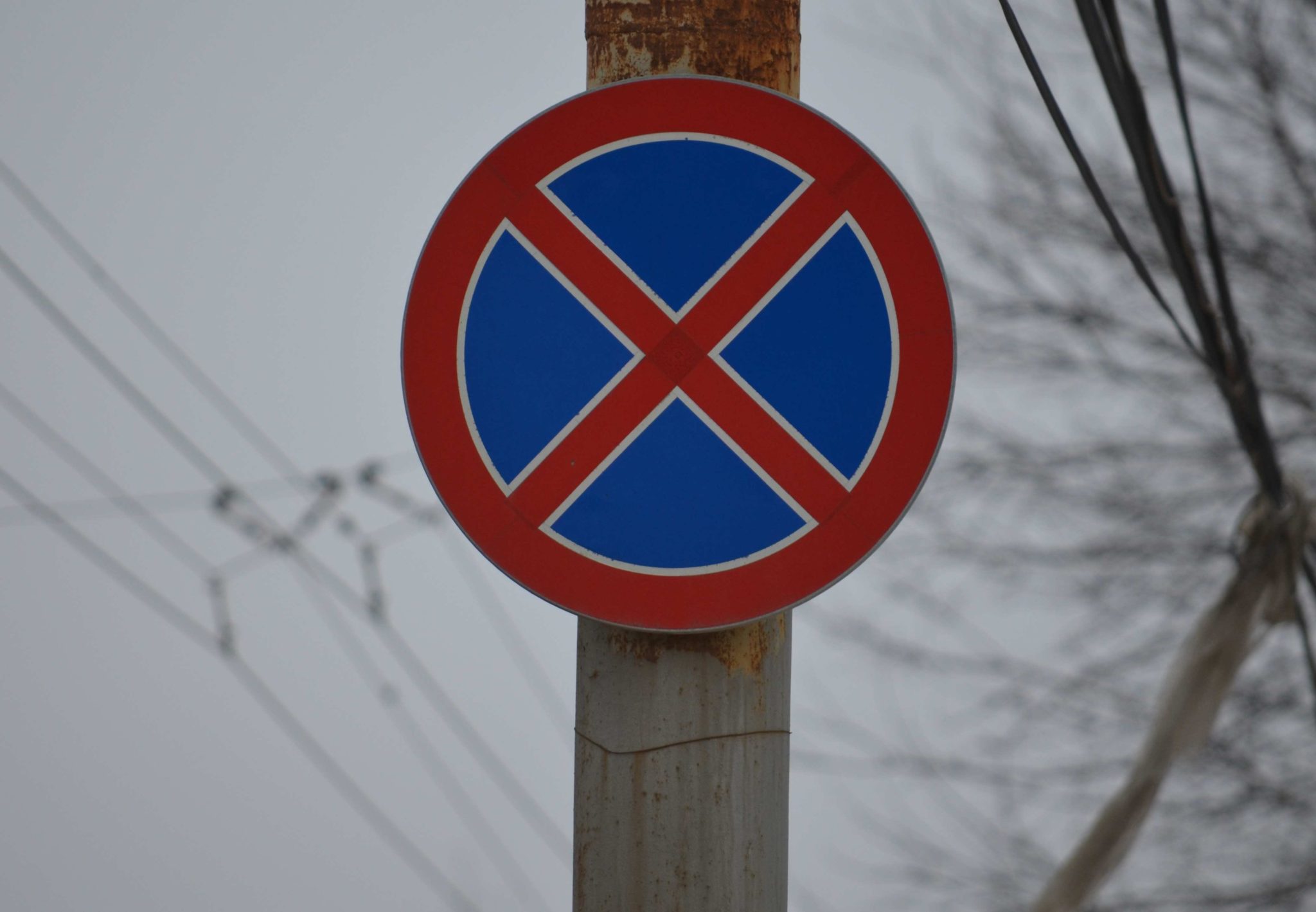 В переулке Доломановском в Ростове-на-Дону запретят остановку машин 