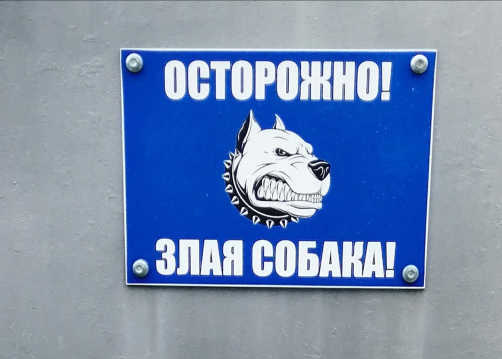 Ростовской прокуратурой приняты меры по защите прав покусанного собаками ребенка