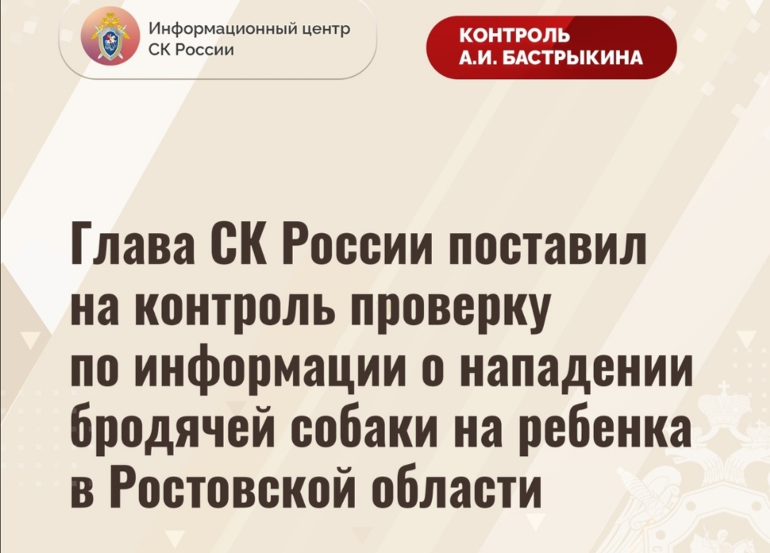 Глава СК России поставил на контроль проверку информации о нападении бродячей собаки на ребенка в городе Шахты 