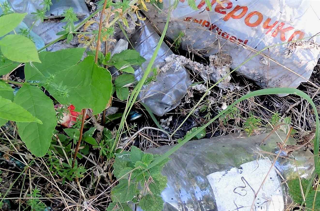 В Ростове-на-Дону после прокурорского вмешательства ликвидировали мусорные свалки