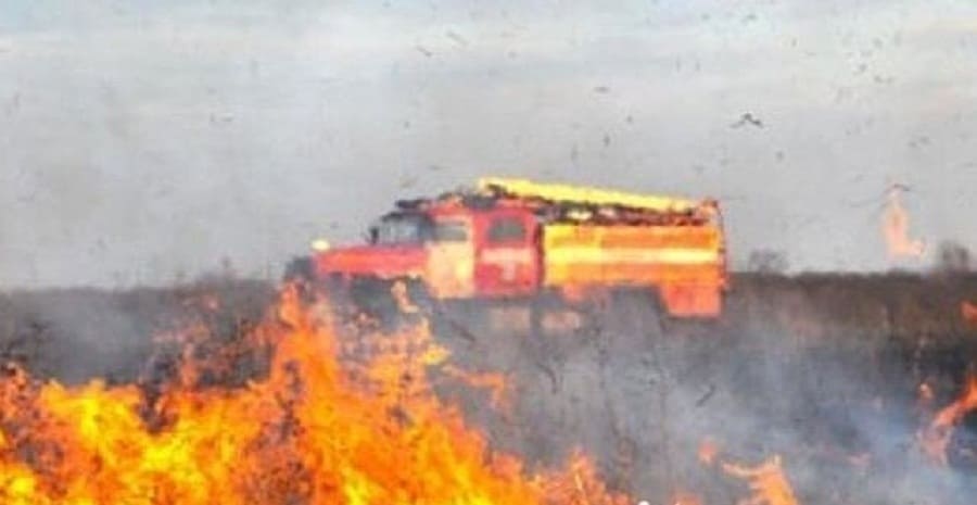 Чрезвычайную пожароопасность в Ростовской области продлили до 2 июля