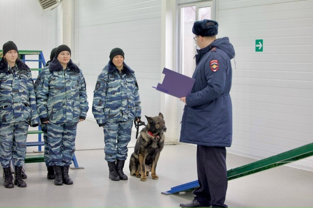 «Вегас» завершил карьеру... - Новости, 08.03.2026