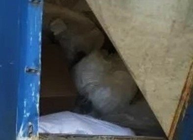 Всё везут, везут «по-серому»... - Новости, 09.06.2026