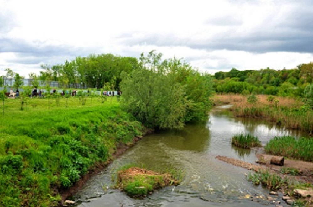 Зеленый каркас 1 миля.jpg Зеленый каркас 1 миля.jpg