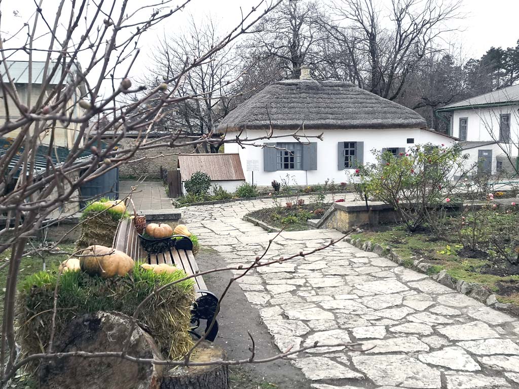 IMG_20241124_122701.jpg IMG_20241124_122701.jpg