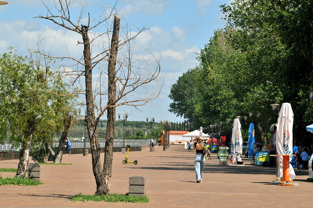 Зеленый каскад Левобереждный аллея.jpg Зеленый каскад Левобереждный аллея.jpg