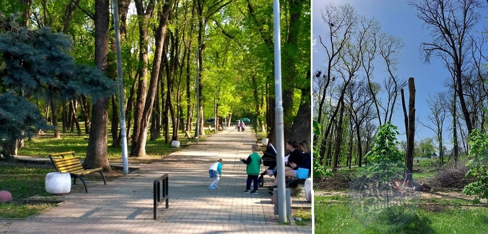 pictures (1).jpg pictures (1).jpg