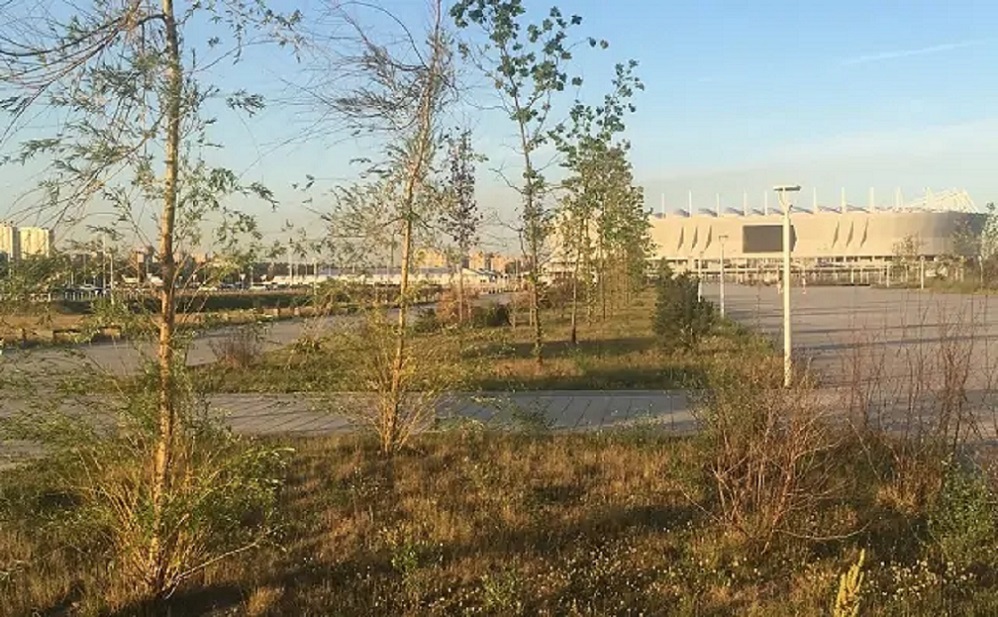 Зеленый каркас Ростов Арена Ростовгазета.jpg Зеленый каркас Ростов Арена Ростовгазета.jpg