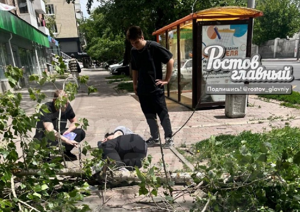 Ветер денревья 1.jpg Ветер денревья 1.jpg