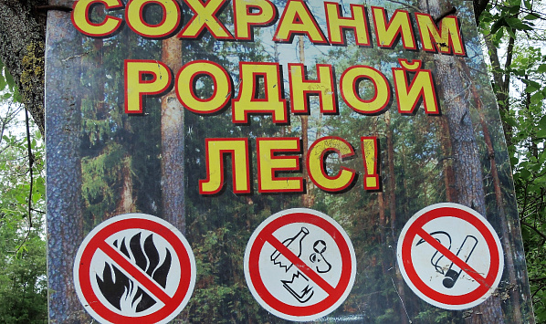 В северо-западных районах Ростовской области и Приазовье прогнозируется наивысший класс пожарной опасности