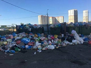 На Дону собираются покончить со всеми стихийными свалками