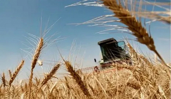 Источник фото: grainunion.kz