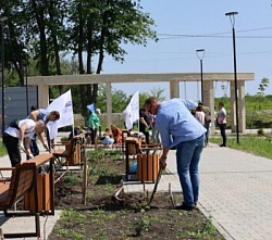 В Новошахтинске появилась Аллея предпринимательства