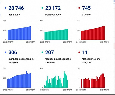 Коронавирус в Ростовской области: статистика на 25 октября