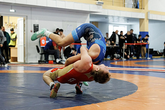 Донские борцы завоевали награды всероссийского турнира