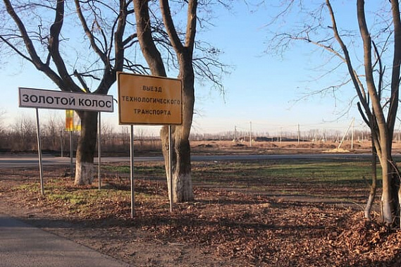 Завершить обустройство участков для многодетных семей в Золотом Колосе обещают к концу года