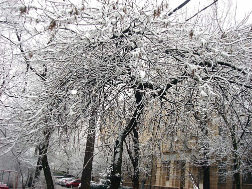 Водителям срочно следует скорректировать модель поведения на дороге!