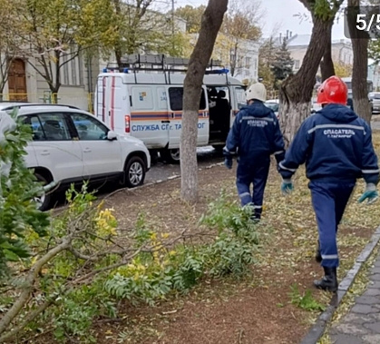 В Таганроге зафиксированы полсотни случаев обрыва электропроводов 