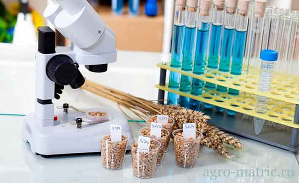 В Ростовской области орган инспекции качества семян получил федеральную аккредитацию
