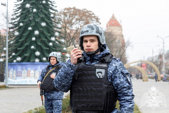 Росгвардия обеспечит охрану правопорядка в период новогодних праздников на Дону. Источник фото: 61.rosguard.gov.ru