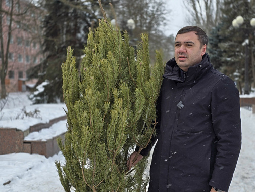 «И снова о ней, второй ёлочной жизни: продолжение темы