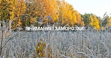 Следите за прогнозом погоды: совсем скоро на Дону ожидаются заморозки