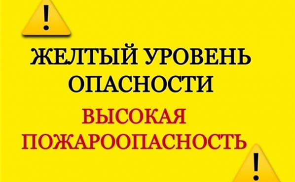 На фоне грянувшей июльской жары на Дону сегодня объявлен желтый уровень пожароопасности