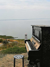 Рояль-романтик прямо под открытым небом