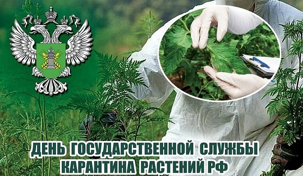 Сегодня отмечается день создания Государственной службы карантина растений