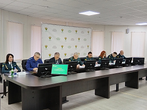 В Южной электронной таможне определились с приоритетами в работе