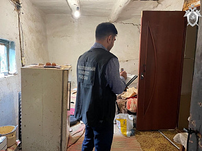 В кашарском поселке Светлый ночью жена забила металлическим предметом до смерти 77-летнего супруга