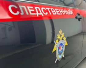 Главе Следкома доложат о расследовании уголовного дела по факту противоправных действий в отношении малолетних в Ростовской области