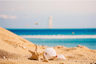 «Отпускное мошенничество» не знает выходных!