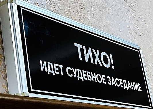 Под суд попала женщина, уклонившаяся от уплаты алиментов на четверых несовершеннолетних детей