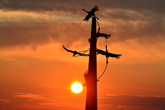 22 06 2025 На Дону отмечают 84-ю годовщину начала Великой Отечественной войны