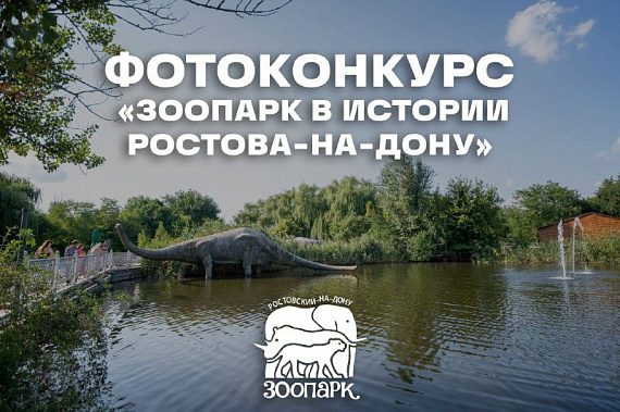 Фото из тг-канала Ростовского-на-Дону зоопарка