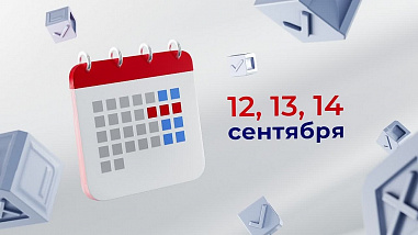 С завтрашнего дня на Дону начнет работу «горячая линия» по вопросам дистанционного голосования на выборах