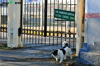 Таможенный контроль между Ростовской областью и Донбассом отменяется