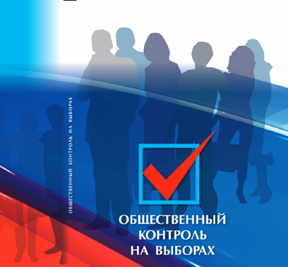 За ходом голосования на предстоящих в сентябре в Ростовской области выборах будут следить 4000 общественных наблюдателей 