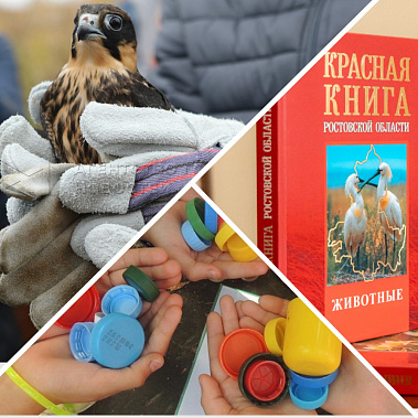При создании коллажа использованы снимки из открытых источников